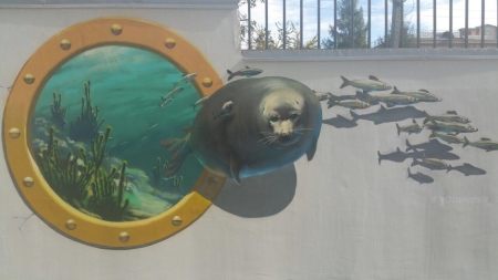 уличные рисунки.jpg